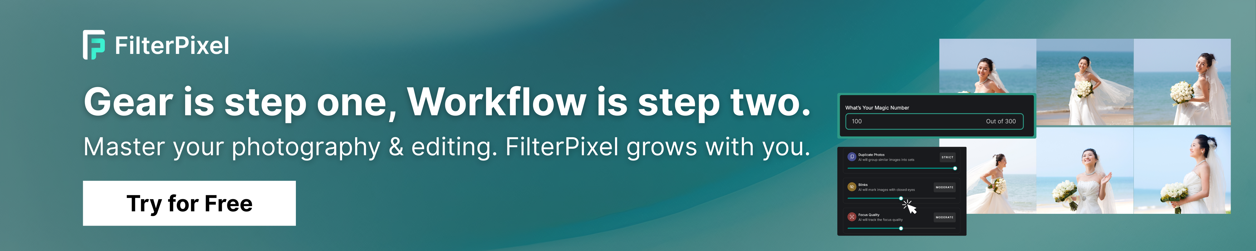 Beginners' camera guide