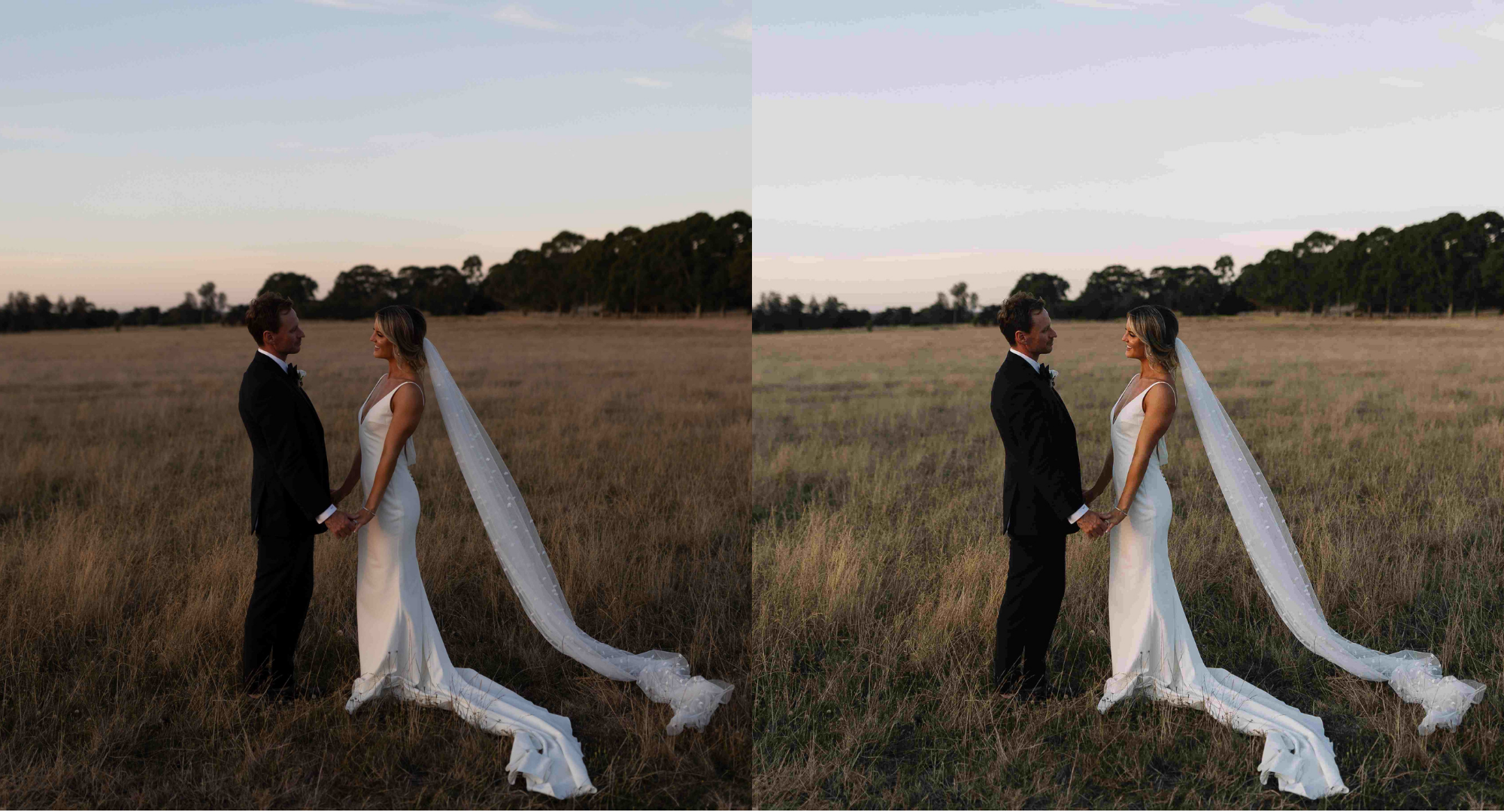 AI photo editing software with many profiles