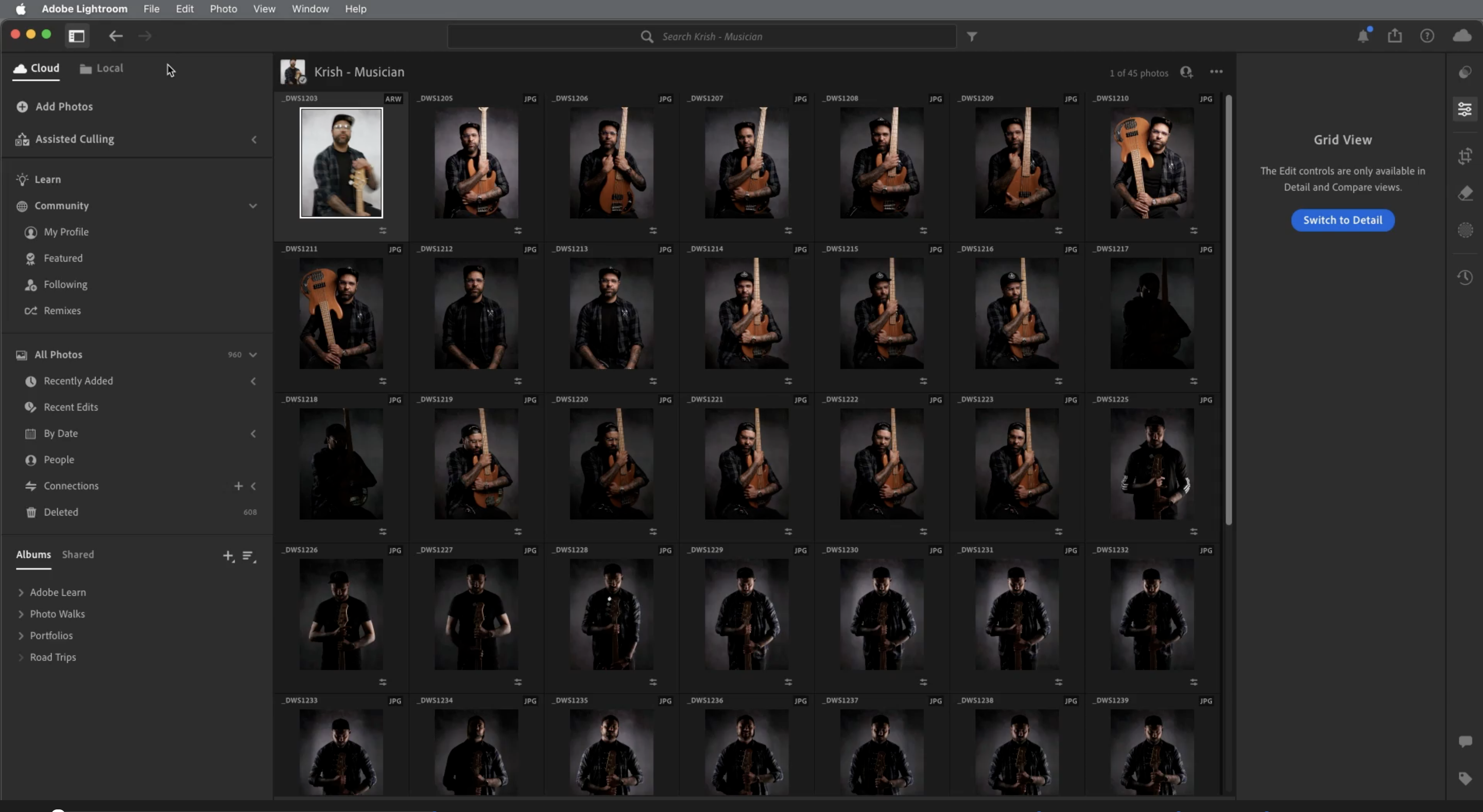 lightroom assisted culling alternatives