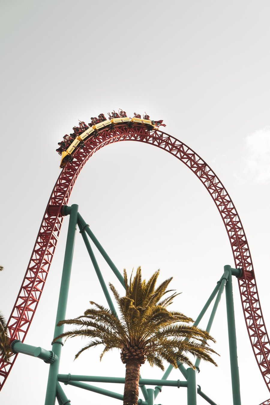Roller coaster loop above a palm tree