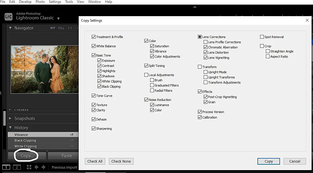 Copy pasting the settings in Lightroom classic
