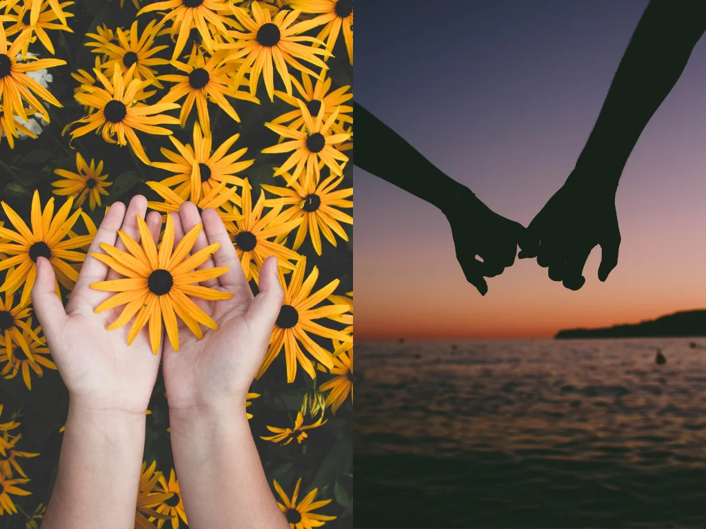 Collage Image of Holding a Flower and Holding Hands