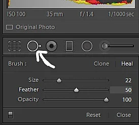 Spot Removal tool in Lightroom Classic