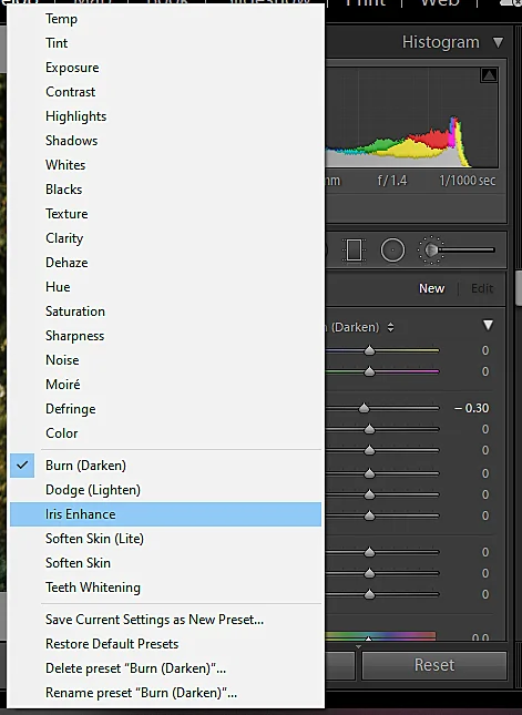 Brush settings in Lightroom classic