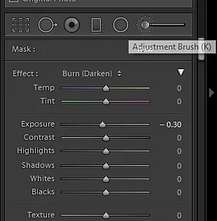 Adjustment Brush Tool