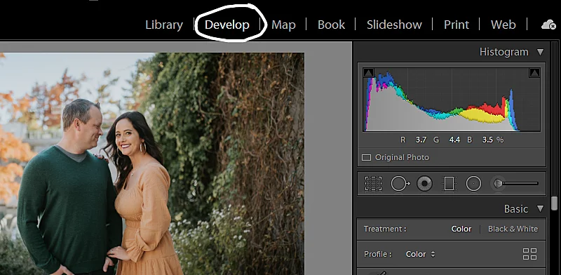 Develop module in Lightroom classic to apply a preset