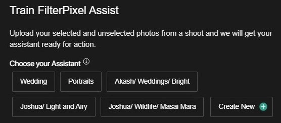 Assist selection screen