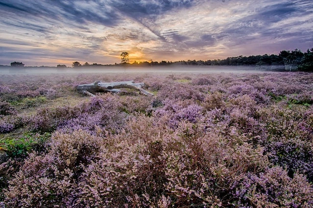 HDR landscape image