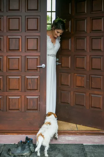 image of a bride and a dog