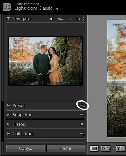 Presets section in Lightroom