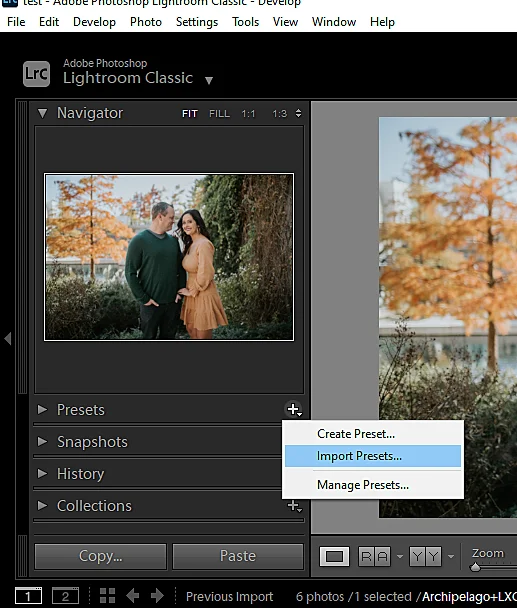 Import presets button in Lightroom Classic