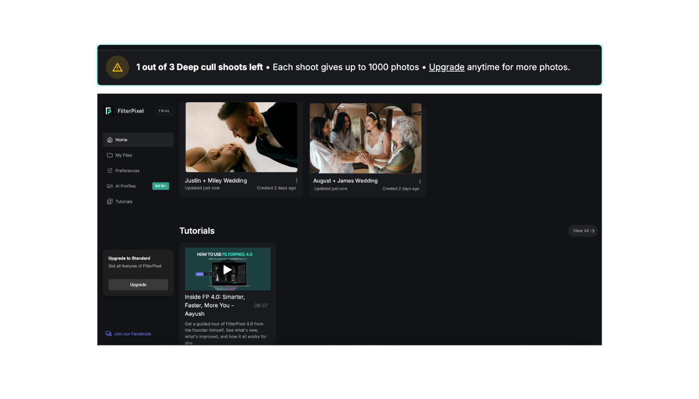 DeepCull account screen showing one of three free projects remaining